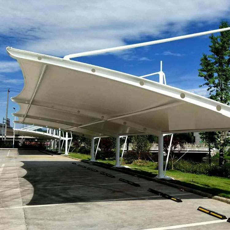 延寿县膜结构汽车棚